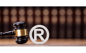 Trademark Basics and How to Spot Potential Issues for In-House Counsel