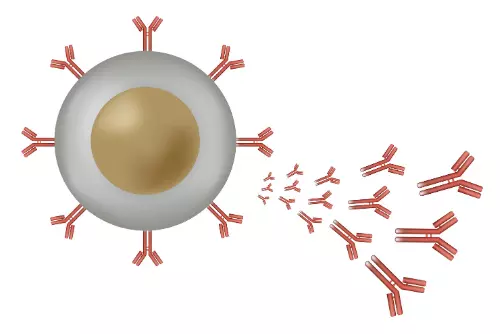 Royalties Over Lupus Treatment Terminated by Patent Disclaimer