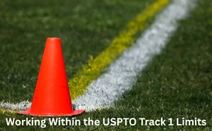 Working within the USPTO Track 1 Limits