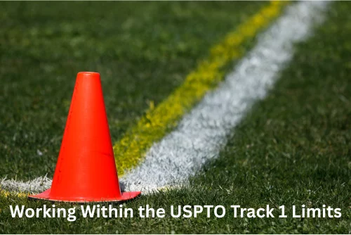 Working within the USPTO Track 1 Limits